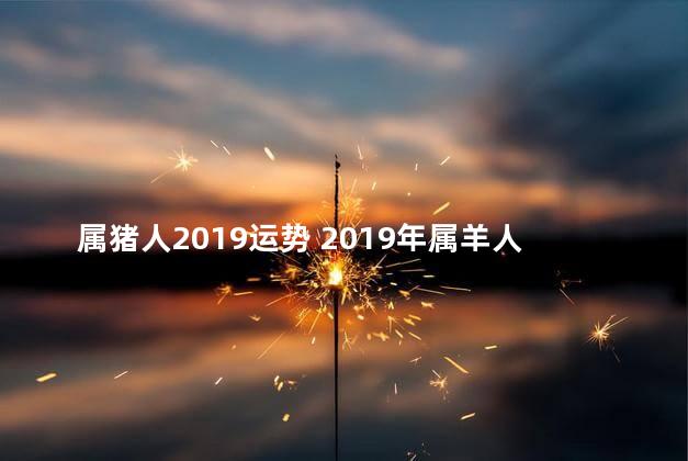 属猪人2019运势 2019年属羊人的全年运势